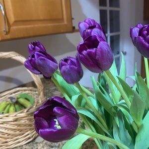 Meet your Posher, Natalia